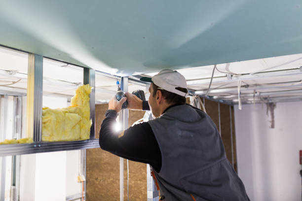 Types of Insulation We Offer in CO