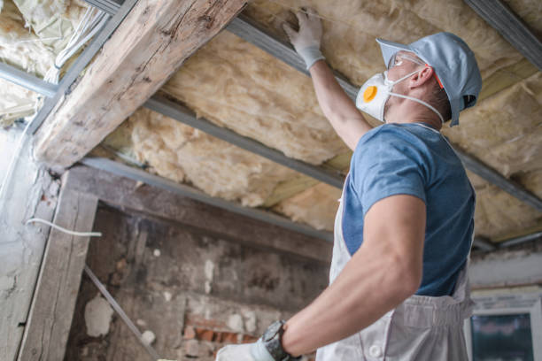 Best Insulation Installation Services in Fountain, CO