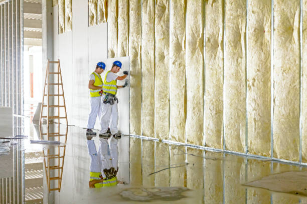 Best Insulation Maintenance and Repair in Fountain, CO
